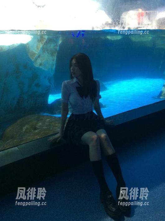 17 拒绝搬砖,今天就靠安卓上的www.17给我喂瓜,开心到飞起?