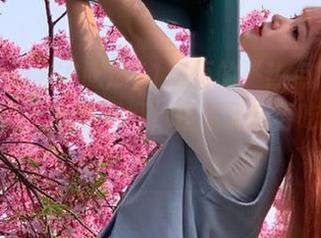 66吃瓜51网页的“热点旋风”真的是让人心潮澎湃，但我又能否吃得消呢？
