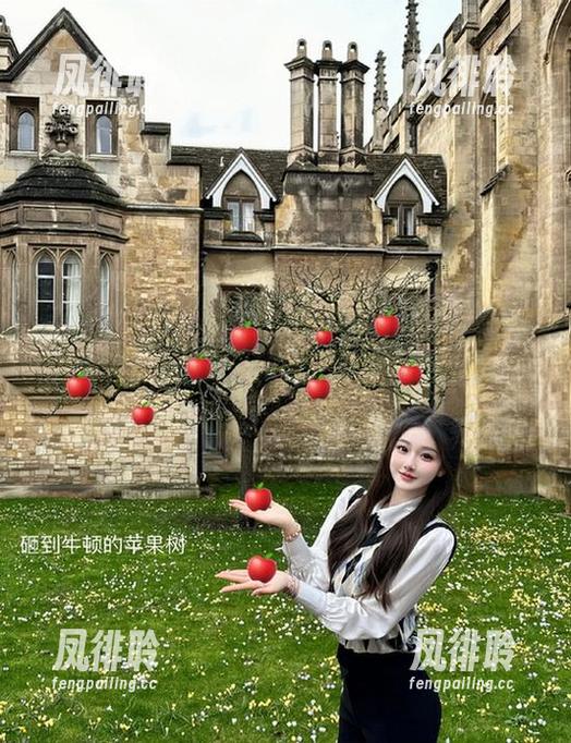“zztt333”发布的一切都让人着迷，瓜是甜的，但心情就…各自掂量吧！
