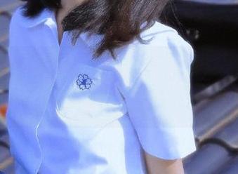 吃瓜不打烊官网，黑料随时来袭，你敢点吗？