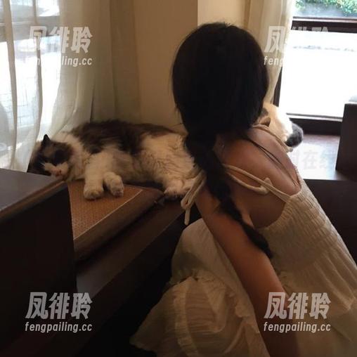 吃瓜黑料直达狂欢，随时在线，放飞脑洞轻松愉快！