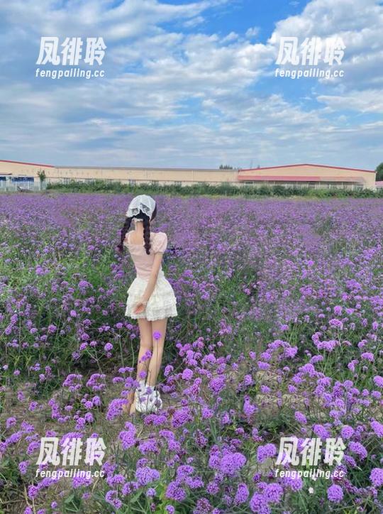 国产吃瓜 在国产吃瓜网站上刷视频,网址都快记不住了,哈哈哈。