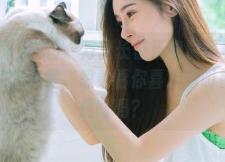 “万里长征正能量黑料”网页版免费开放，想看看你喜欢的明星原形是啥吗？