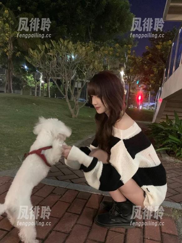 永久在线在黑料社区，连铅笔都知道我在窥探爆料